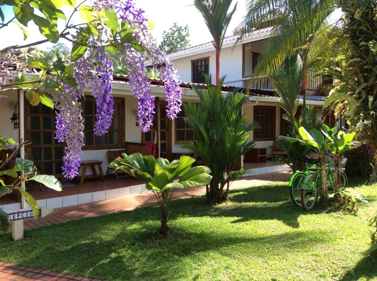 Posada Nena Caribe Puerto Viejo de Talamanca ภายนอก รูปภาพ
