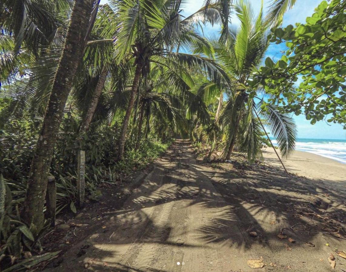 Posada Nena Caribe Puerto Viejo de Talamanca ภายนอก รูปภาพ