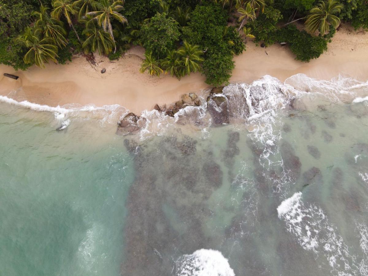 Posada Nena Caribe Puerto Viejo de Talamanca ภายนอก รูปภาพ