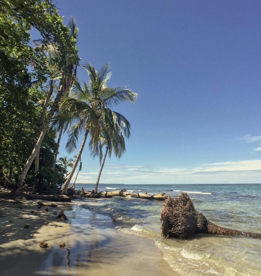 Posada Nena Caribe Puerto Viejo de Talamanca ภายนอก รูปภาพ