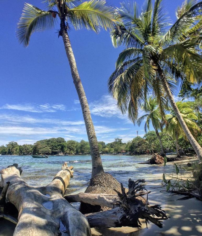 Posada Nena Caribe Puerto Viejo de Talamanca ภายนอก รูปภาพ
