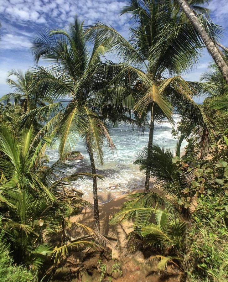 Posada Nena Caribe Puerto Viejo de Talamanca ภายนอก รูปภาพ