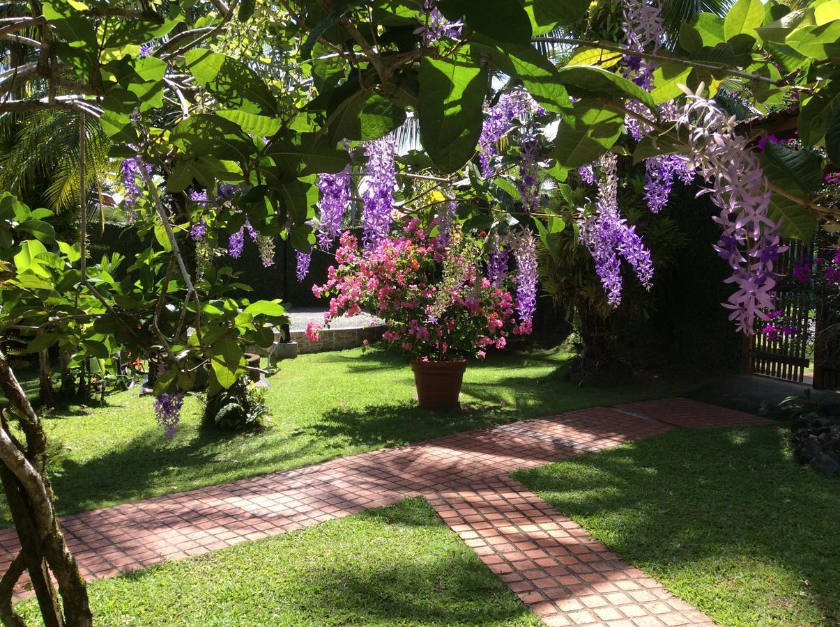 Posada Nena Caribe Puerto Viejo de Talamanca ภายนอก รูปภาพ