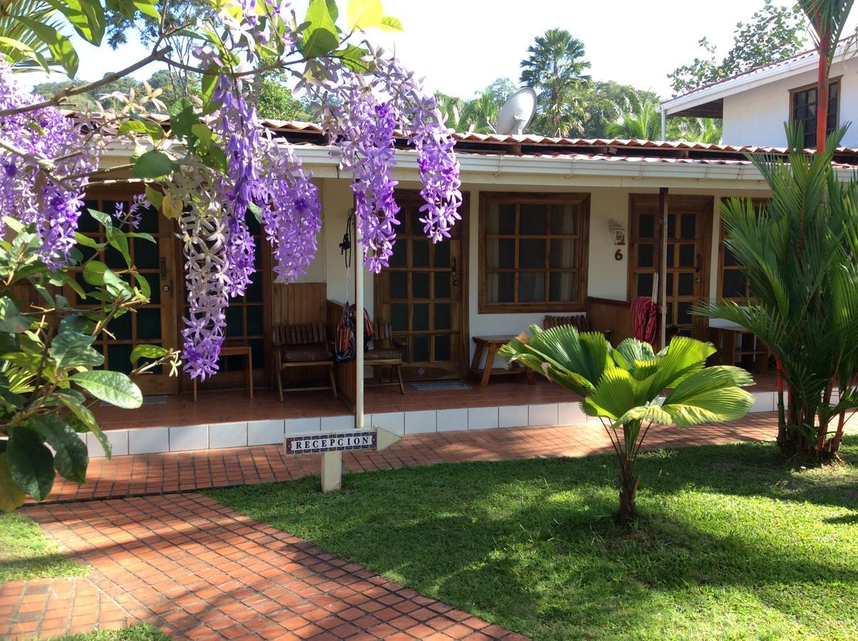 Posada Nena Caribe Puerto Viejo de Talamanca ภายนอก รูปภาพ